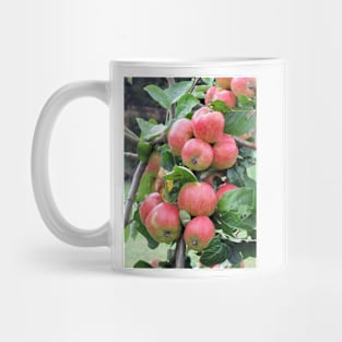 Red Apples Mug